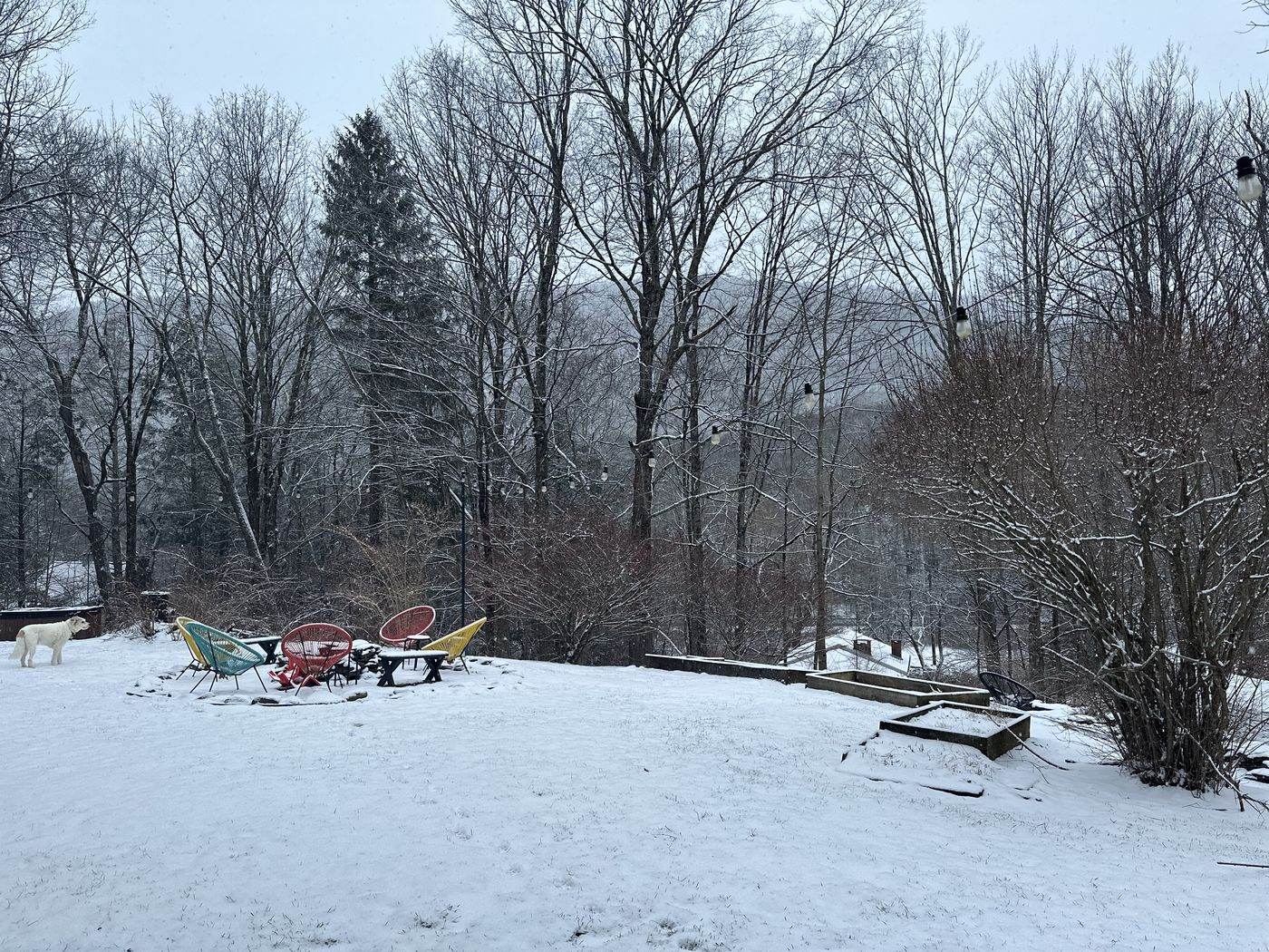 Snowy backyard with mountain views and a dog in the distance